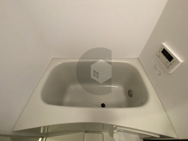 ル・スーリール大蓮北の浴室