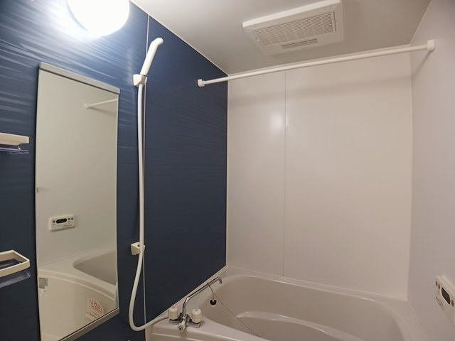 セレーノ洞海の浴室