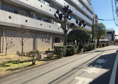 【庭】 | 八王子スカイマンション | 物件によっては、入居者が個人的に使用できる専用庭がついているものもあります。また、住宅の中にある土間の部分を庭と呼ぶこともあります。庭の用途は住む人によって変わり、それによってデザインもさまざまです。