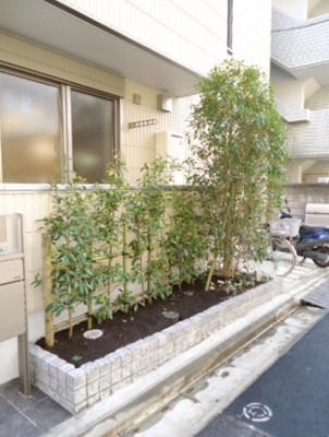 【その他】 | シャリテノア