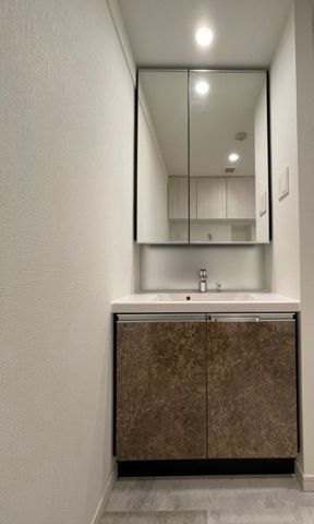 DeLCCS IKEBUKUROの独立洗面台