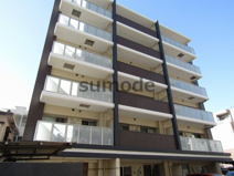 クレッシェンドVの画像