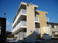 レオパレス星＆ナミ　Ｋ１１の画像