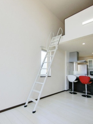 ニューエスパニア９のその他