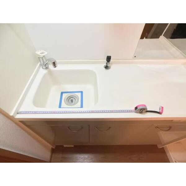 メゾネットY&A2の洗面所