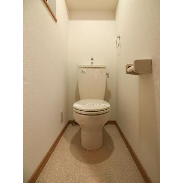 メゾネットY&A2のトイレ