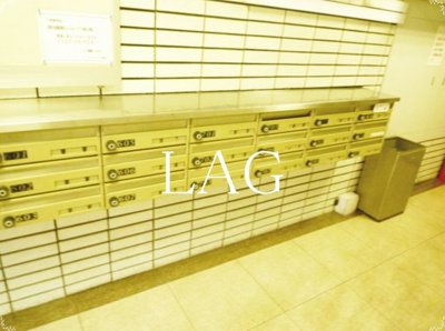 【その他共用部分】 | ワコーレ錦糸町マンション | 集合ポストです。