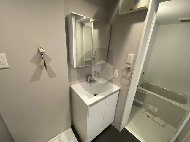 東大阪市金岡４丁目のアパートの独立洗面台