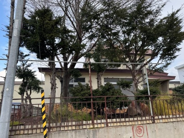 北見市南町1　中古住宅の外観|正面の庭木です。