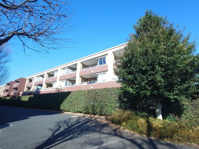 フォレストレイクひばりが丘N棟