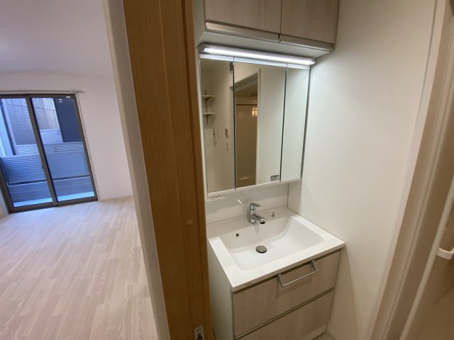 グランボナールB棟の洗面所