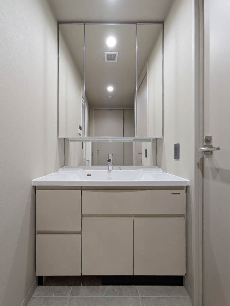 シャーメゾンステージBEFUの洗面所