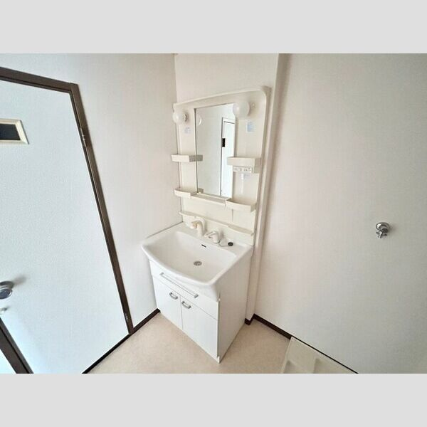 パレス和坂の洗面所