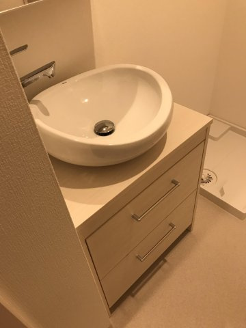 ブレイブブロッサムの洗面所