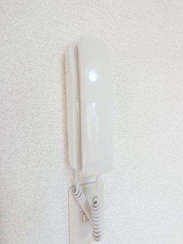 ブリリアント・アイのセキュリティ