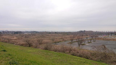 【展望】 | ソレアードⅠ | 彩湖道満グリーンパ…まで1081m