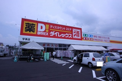 【周辺】 | グリーン　ライズ　Ⅰ | ダイレックスまで1200m