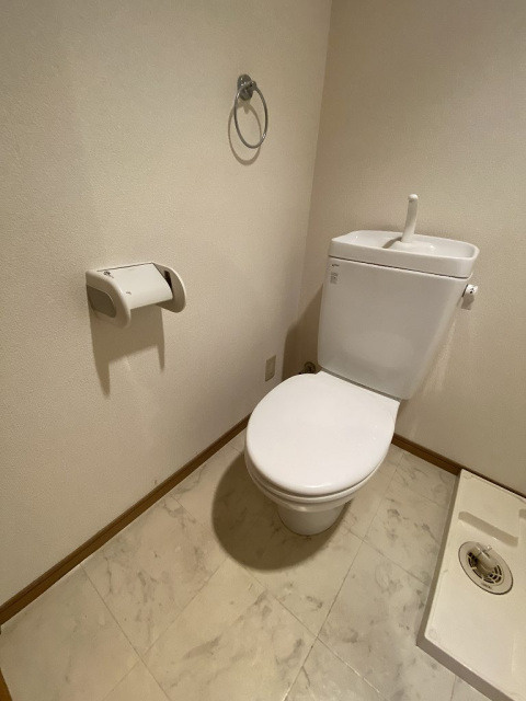 セントラルステイツⅡのトイレ