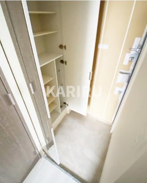 プレサンス桜ノ宮イーサリアルの玄関