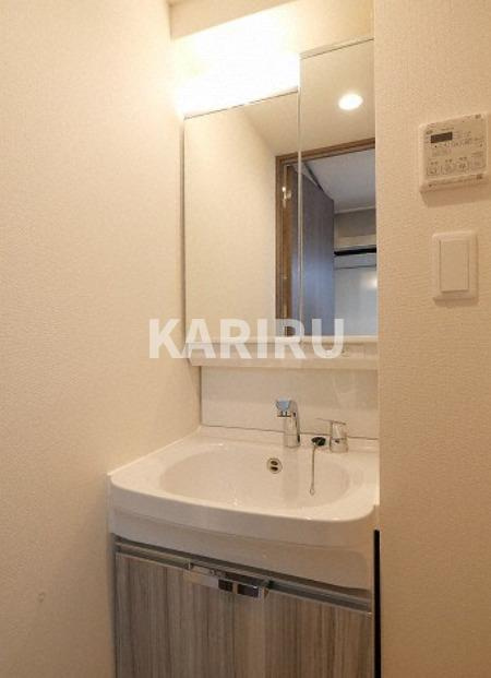 プレサンス桜ノ宮イーサリアルの洗面所