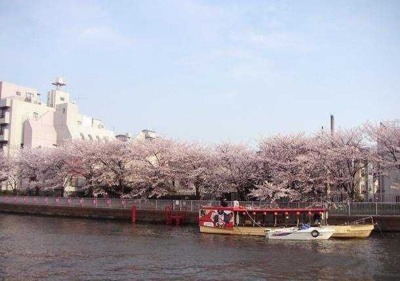 【周辺】 | ライオンズフォーシア清澄白河