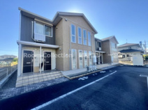 フェリチータの画像