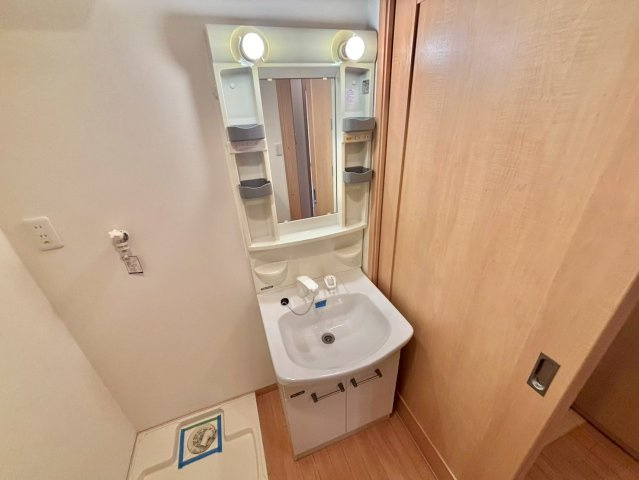 シエナフローラⅠ番館の洗面所