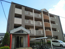 トゥリパーノの画像