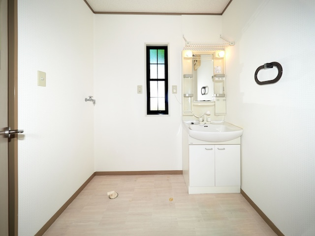 フェスタ山崎の洗面所