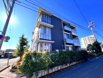 ベレオユトリアの画像