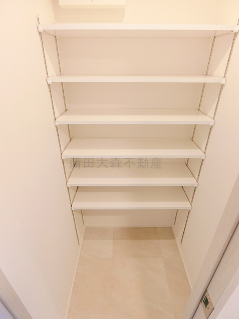 スタイリオ池上SOUTHスタイリオイケガミサウスの収納|玄関　シューズウォークイン