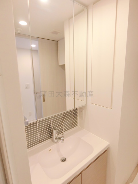 スタイリオ池上SOUTHスタイリオイケガミサウスの洗面所