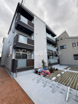 1er Camelliaの画像