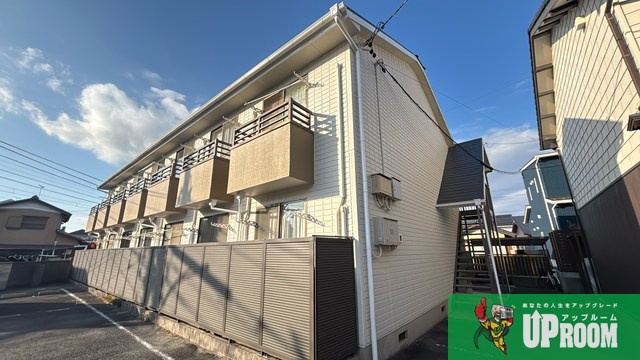 エバーグリーン