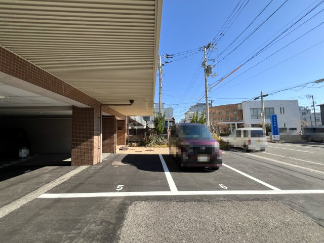 ドエール大川筋の駐車場