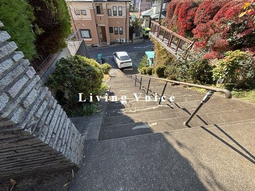 【展望】 | 伊勢原市桜台1丁目　土地（売地） | 伊勢原市桜台1丁目　土地（売地）