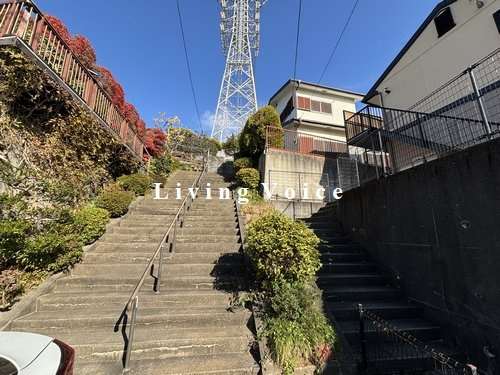 【展望】 | 伊勢原市桜台1丁目　土地（売地） | 伊勢原市桜台1丁目　土地（売地）