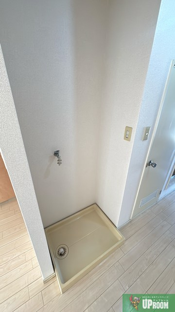 エバーグリーンのその他