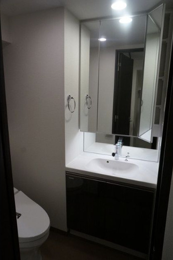 コンフォリア世田谷上馬　駅近　ペット相談　礼金0　ネット0の洗面所