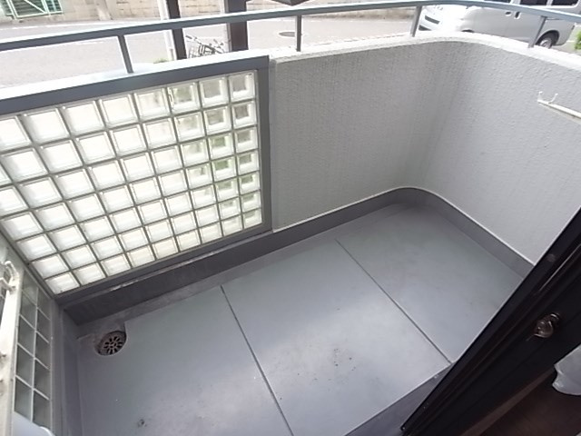 尼崎市塚口町５丁目の賃貸マンションのバルコニー