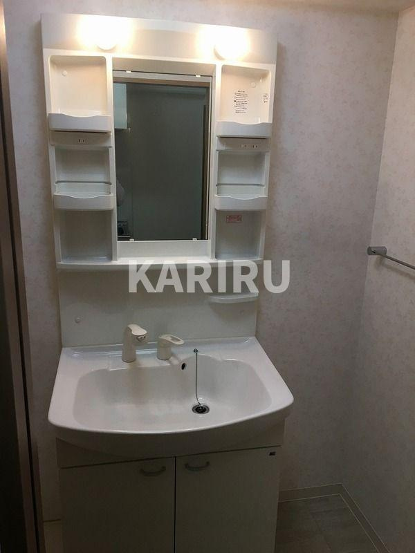 アネシス新大阪の洗面所