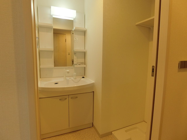 アライブ町楠葉の洗面所