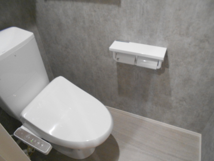 premier couleur（ﾌﾟﾙﾐｴ ｸﾙｰﾙ）のトイレ|イメージ