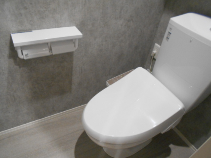 premier couleur（ﾌﾟﾙﾐｴ ｸﾙｰﾙ）のトイレ|イメージ