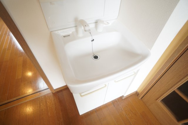 メゾンド・アイリスの洗面所