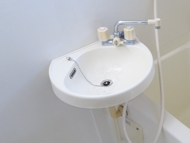 タニハイツの洗面所