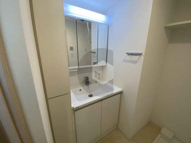 ソルテラスOSAKA EAST GATEの独立洗面台