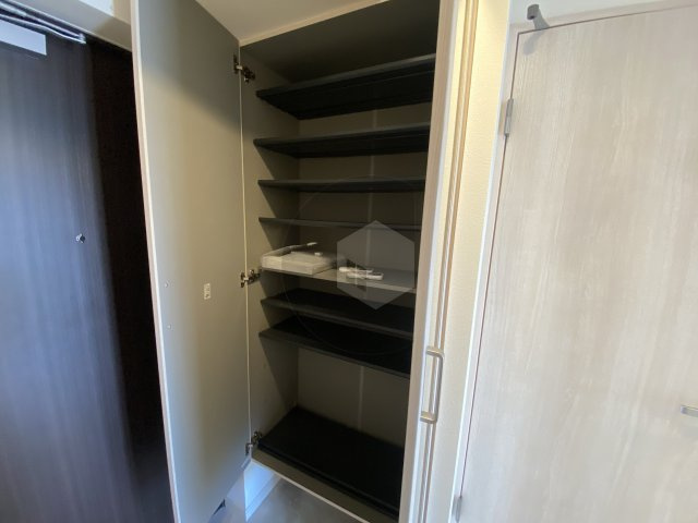 ソルテラスOSAKA EAST GATEの収納