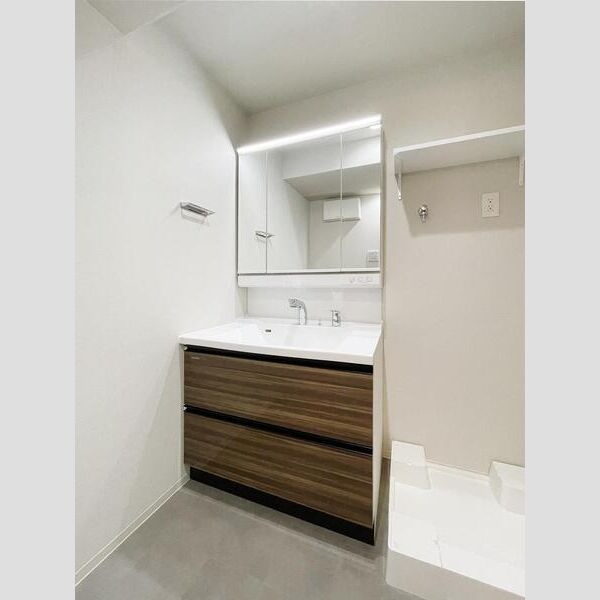 フレンシア西宮北口の洗面所