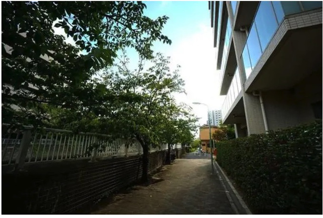 【その他】 | ★仲介手数料無料★BRANZ東品川(目黒川沿いの風光明媚なロケーションが好きな方におすすめです）